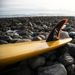 "Captain Fin" AILERON LONGBOARD CAPTAIN FIN ANDY NEIBLAS 7.5 -Surf Elite Magasin sans titre 6 21 03 2023 09 25 50